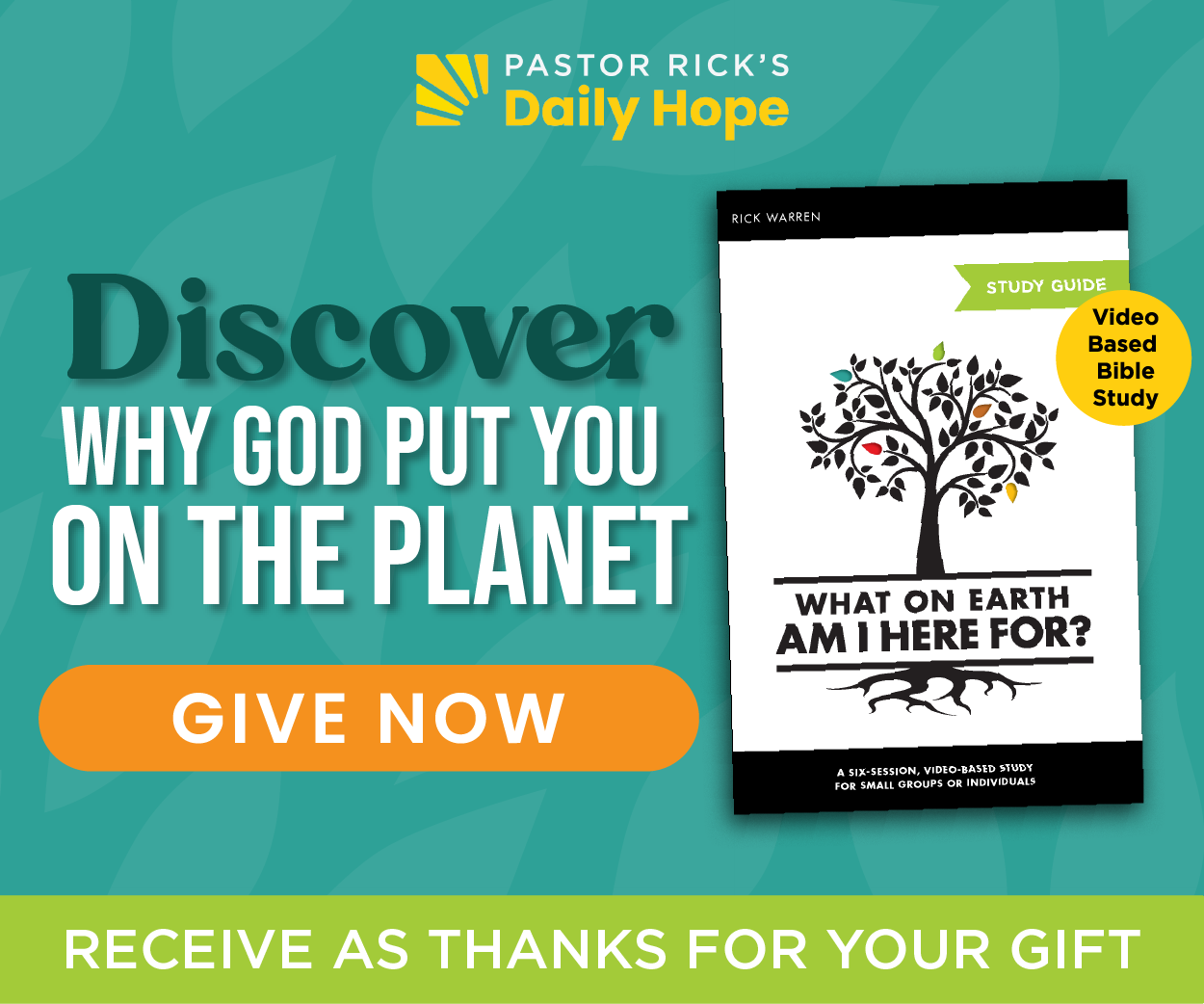 What on Earth Am I Here for Bible Study